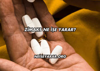 Zimaks Ne İşe Yarar?