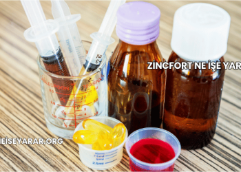 Zincfort Ne İşe Yarar?